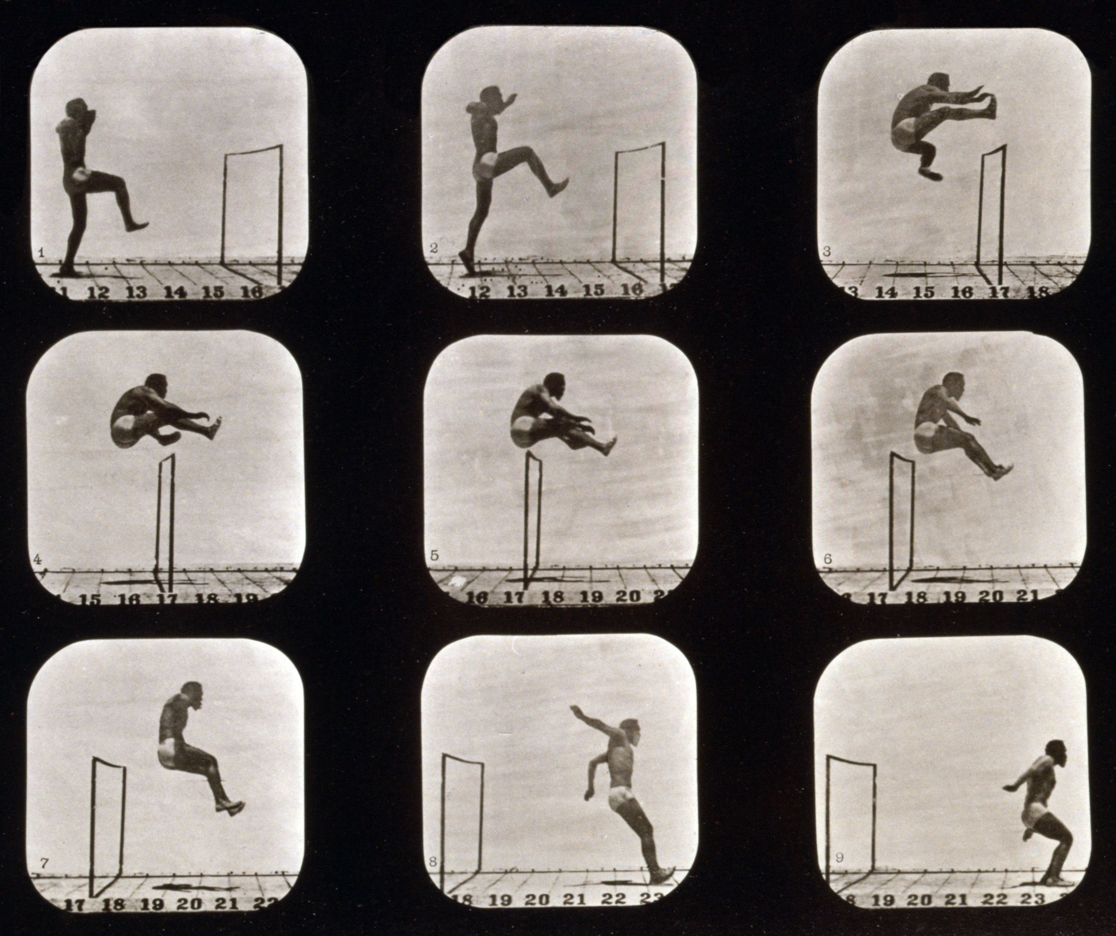 Neuf photographies successives d'un athlète franchissant une haie, prises par Eadweard Muybridge en 1879